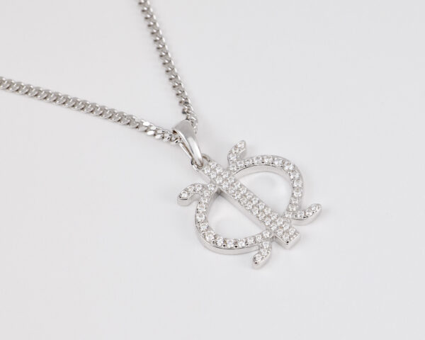 ETHNIC A - COLLIER PERSEVERANCE